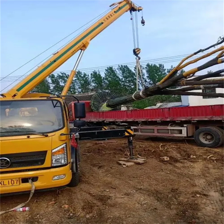 孝感100吨吊车租赁费用怎么算？3大关键因素+省钱技巧全解析